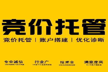 SEM推广策略：实战案例教你玩转搜索引擎
